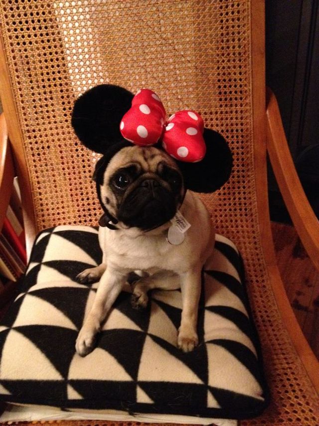 Bildschirmarbeiter - Picdump 13.04.2012