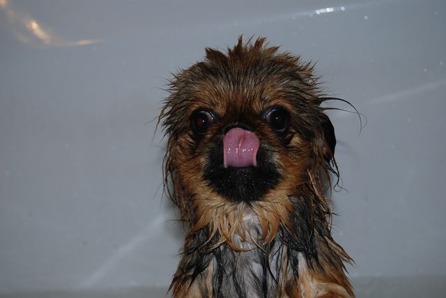 Bildschirmarbeiter - Picdump 13.04.2012