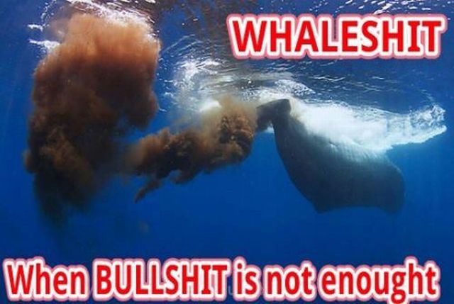 Bildschirmarbeiter - Picdump 20.04.2012