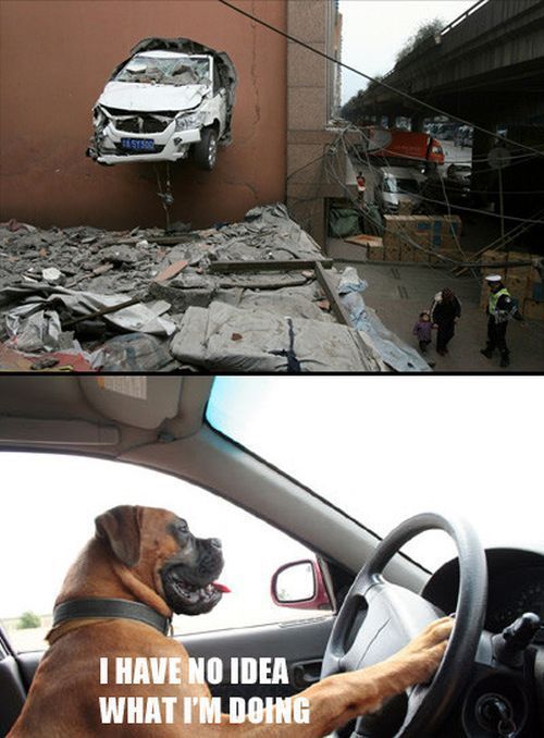 Bildschirmarbeiter - Picdump 20.04.2012