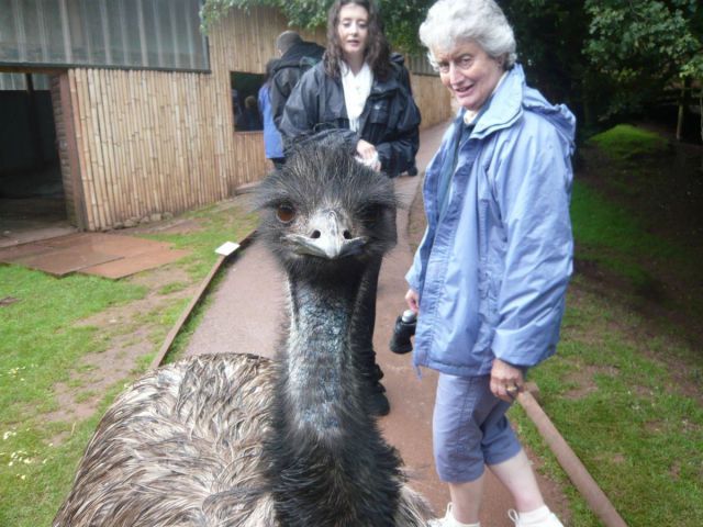 Bildschirmarbeiter - Picdump 20.04.2012