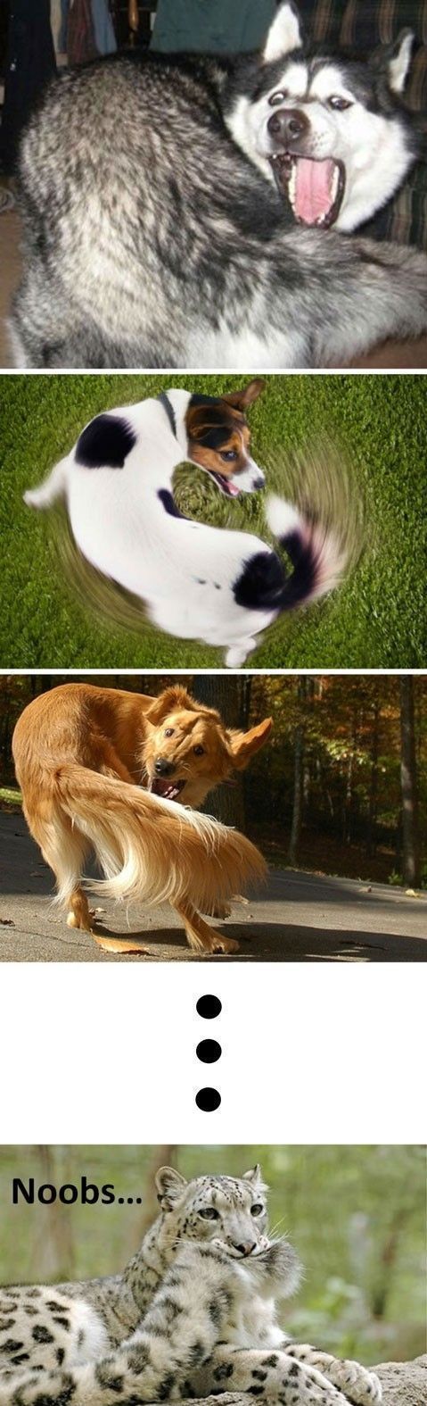 Bildschirmarbeiter - Picdump 20.04.2012