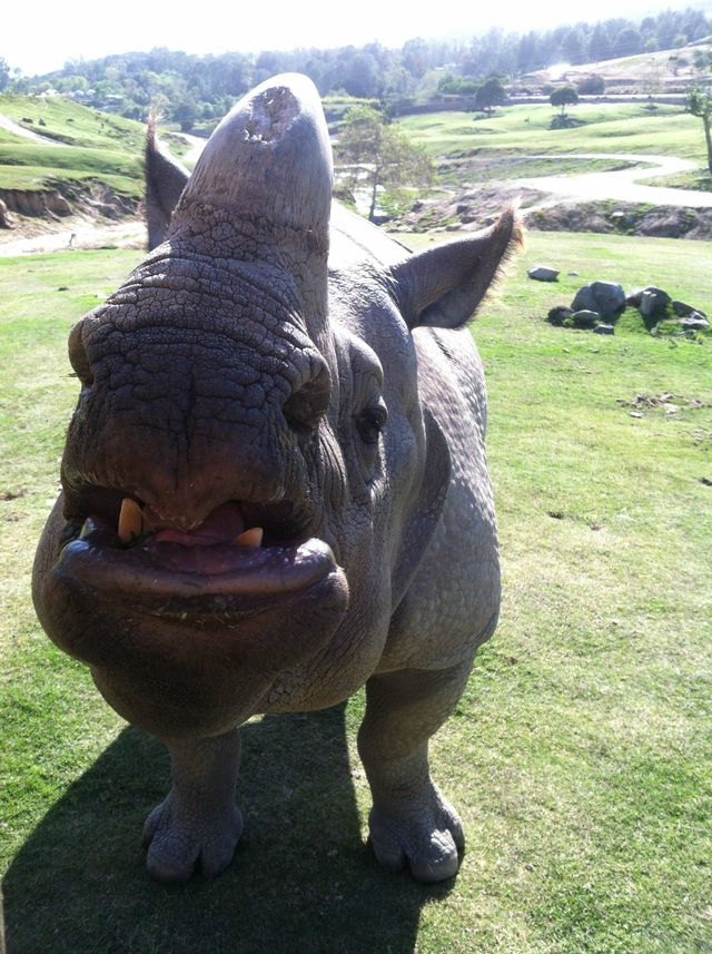 Bildschirmarbeiter - Picdump 20.04.2012