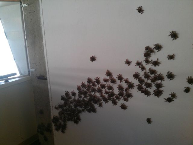 Bildschirmarbeiter - Picdump 27.04.2012