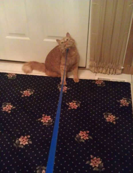 Bildschirmarbeiter - Picdump 27.04.2012