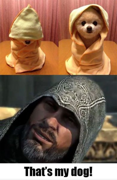 Bildschirmarbeiter - Picdump 27.04.2012