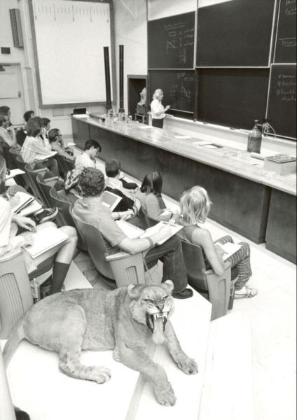 Bildschirmarbeiter - Picdump 27.04.2012