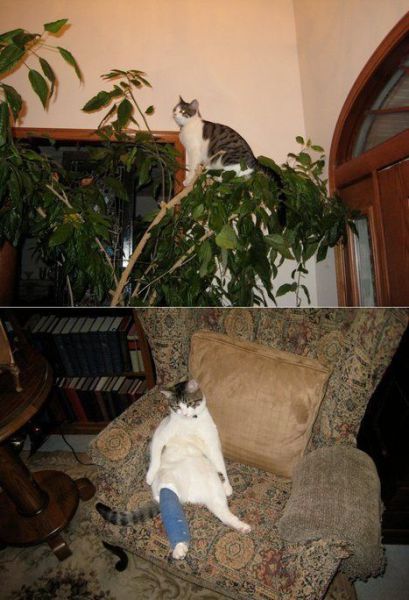 Bildschirmarbeiter - Picdump 27.04.2012