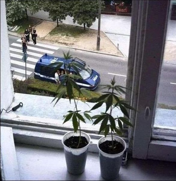 Bildschirmarbeiter - Picdump 27.04.2012