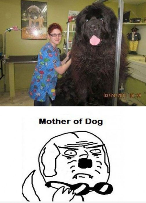 Bildschirmarbeiter - Picdump 27.04.2012