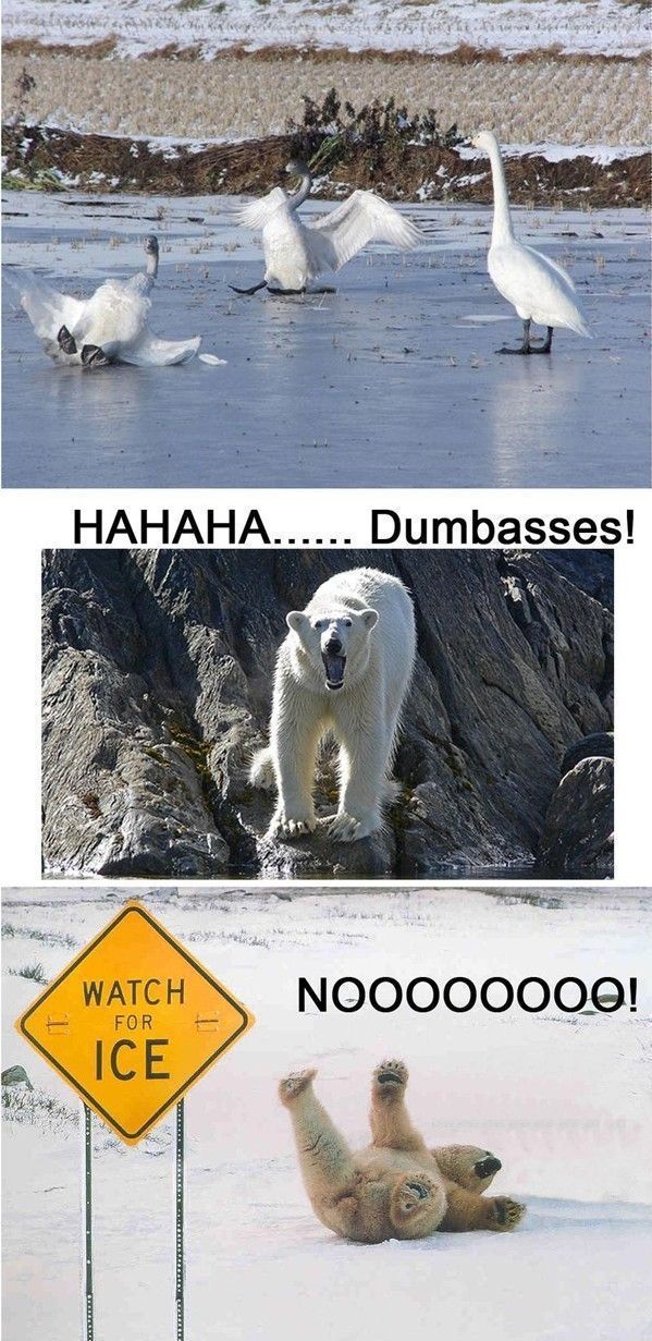 Bildschirmarbeiter - Picdump 27.04.2012