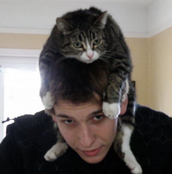 Bildschirmarbeiter - Picdump 04.05.2012