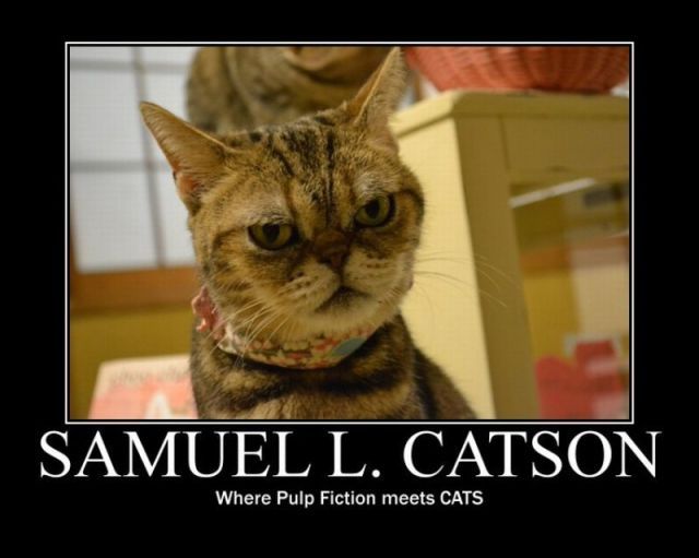 Bildschirmarbeiter - Picdump 04.05.2012