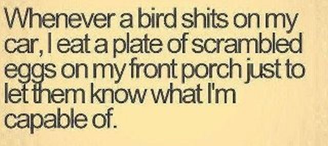 Bildschirmarbeiter - Picdump 04.05.2012