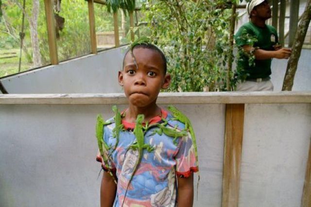 Bildschirmarbeiter - Picdump 04.05.2012