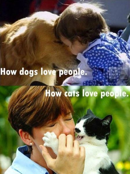 Bildschirmarbeiter - Picdump 04.05.2012