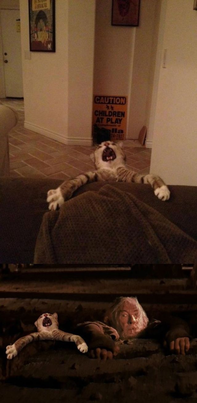 Bildschirmarbeiter - Picdump 04.05.2012