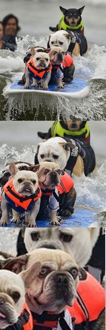 Bildschirmarbeiter - Picdump 04.05.2012