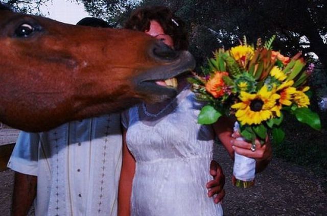 Bildschirmarbeiter - Picdump 11.05.2012