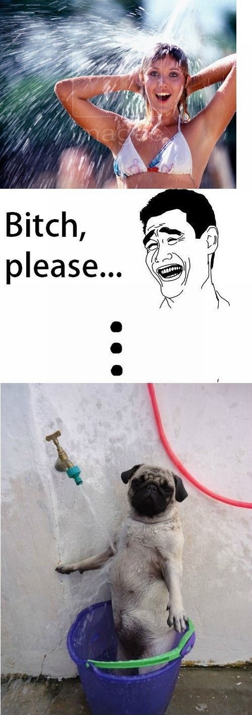 Bildschirmarbeiter - Picdump 11.05.2012