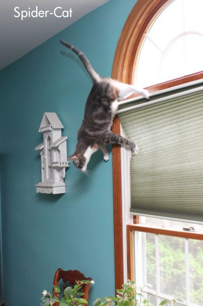 Bildschirmarbeiter - Picdump 18.05.2012