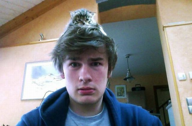 Bildschirmarbeiter - Picdump 18.05.2012