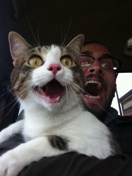 Bildschirmarbeiter - Picdump 18.05.2012