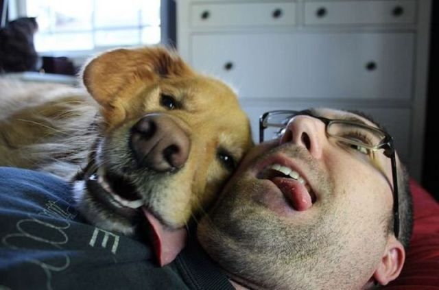 Bildschirmarbeiter - Picdump 18.05.2012