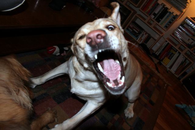 Bildschirmarbeiter - Picdump 18.05.2012