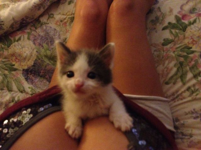 Bildschirmarbeiter - Picdump 18.05.2012