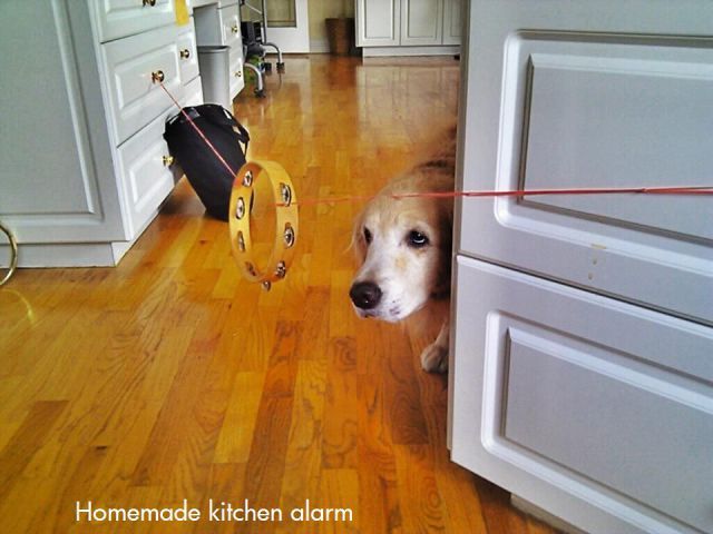 Bildschirmarbeiter - Picdump 18.05.2012