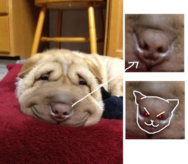 Bildschirmarbeiter - Picdump 18.05.2012