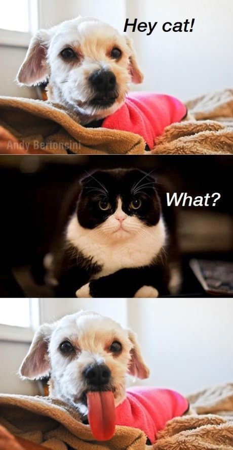 Bildschirmarbeiter - Picdump 18.05.2012