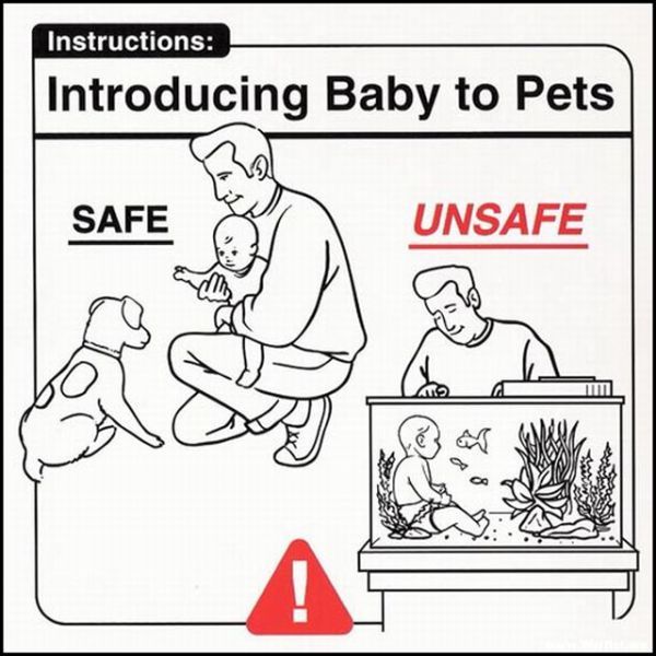 Bildschirmarbeiter - Picdump 18.05.2012