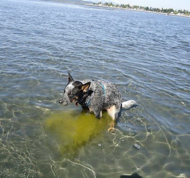 Bildschirmarbeiter - Picdump 18.05.2012