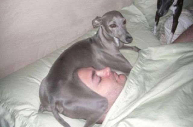 Bildschirmarbeiter - Picdump 25.05.2012