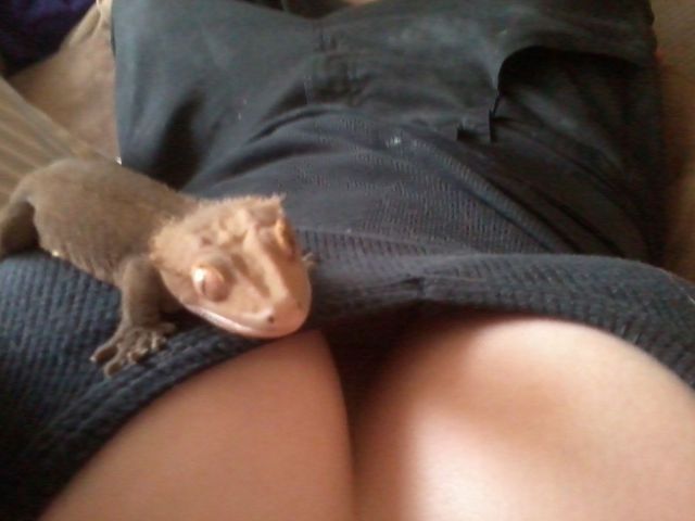 Bildschirmarbeiter - Picdump 25.05.2012