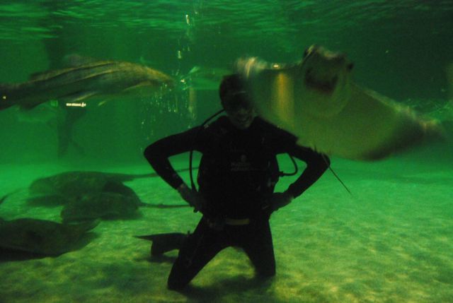 Bildschirmarbeiter - Picdump 25.05.2012