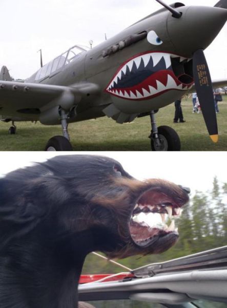 Bildschirmarbeiter - Picdump 25.05.2012