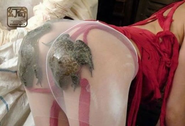 Bildschirmarbeiter - Picdump 25.05.2012