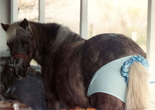 Bildschirmarbeiter - Picdump 25.05.2012