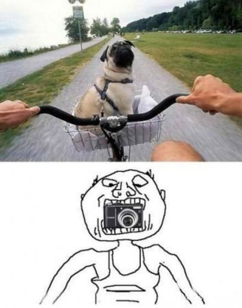 Bildschirmarbeiter - Picdump 25.05.2012