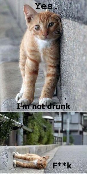 Bildschirmarbeiter - Picdump 25.05.2012