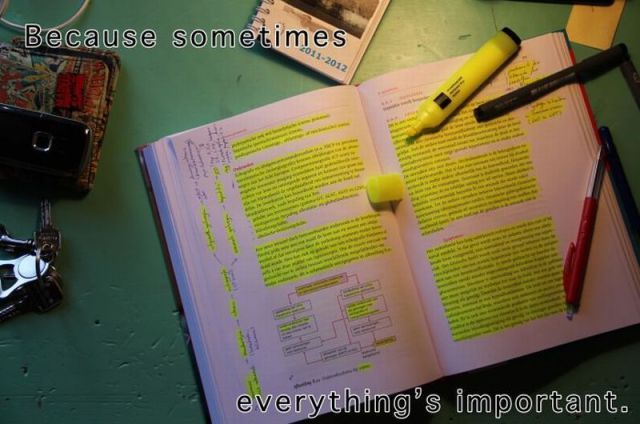 Bildschirmarbeiter - Picdump 25.05.2012