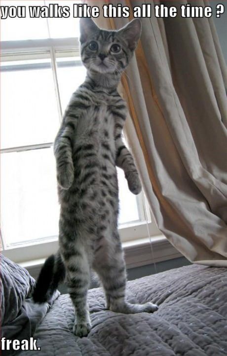 Bildschirmarbeiter - Picdump 25.05.2012