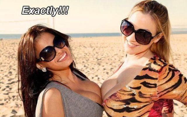 Bildschirmarbeiter - Picdump 25.05.2012