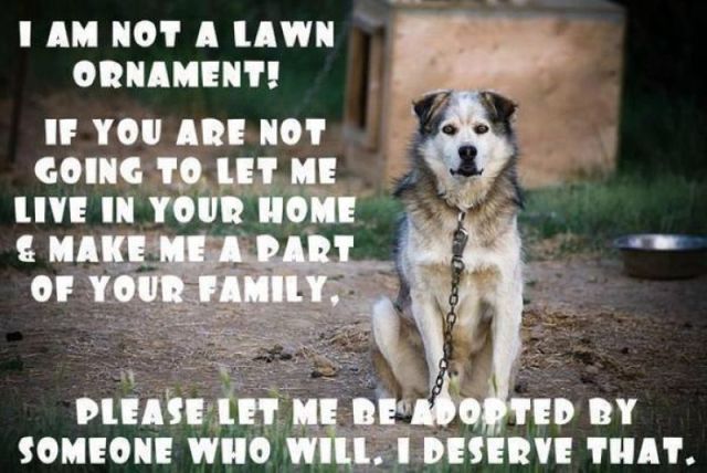 Bildschirmarbeiter - Picdump 25.05.2012