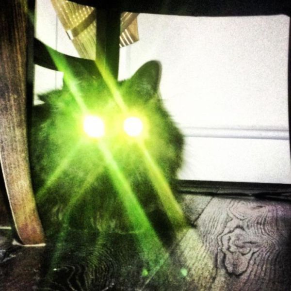 Bildschirmarbeiter - Picdump 25.05.2012