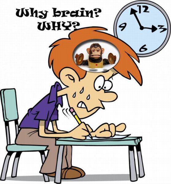 Bildschirmarbeiter - Picdump 25.05.2012