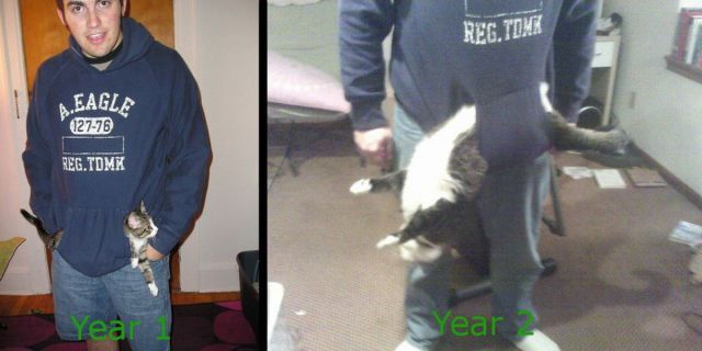 Bildschirmarbeiter - Picdump 01.06.2012